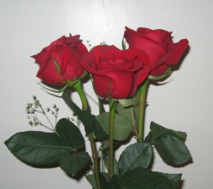 First Sale Roses